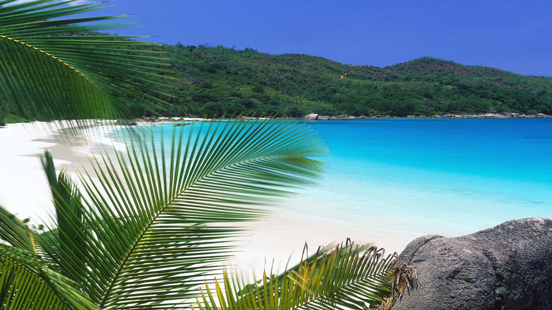 "Feel the stress melt away while taking in the tropical beauty of this high resolution beach."