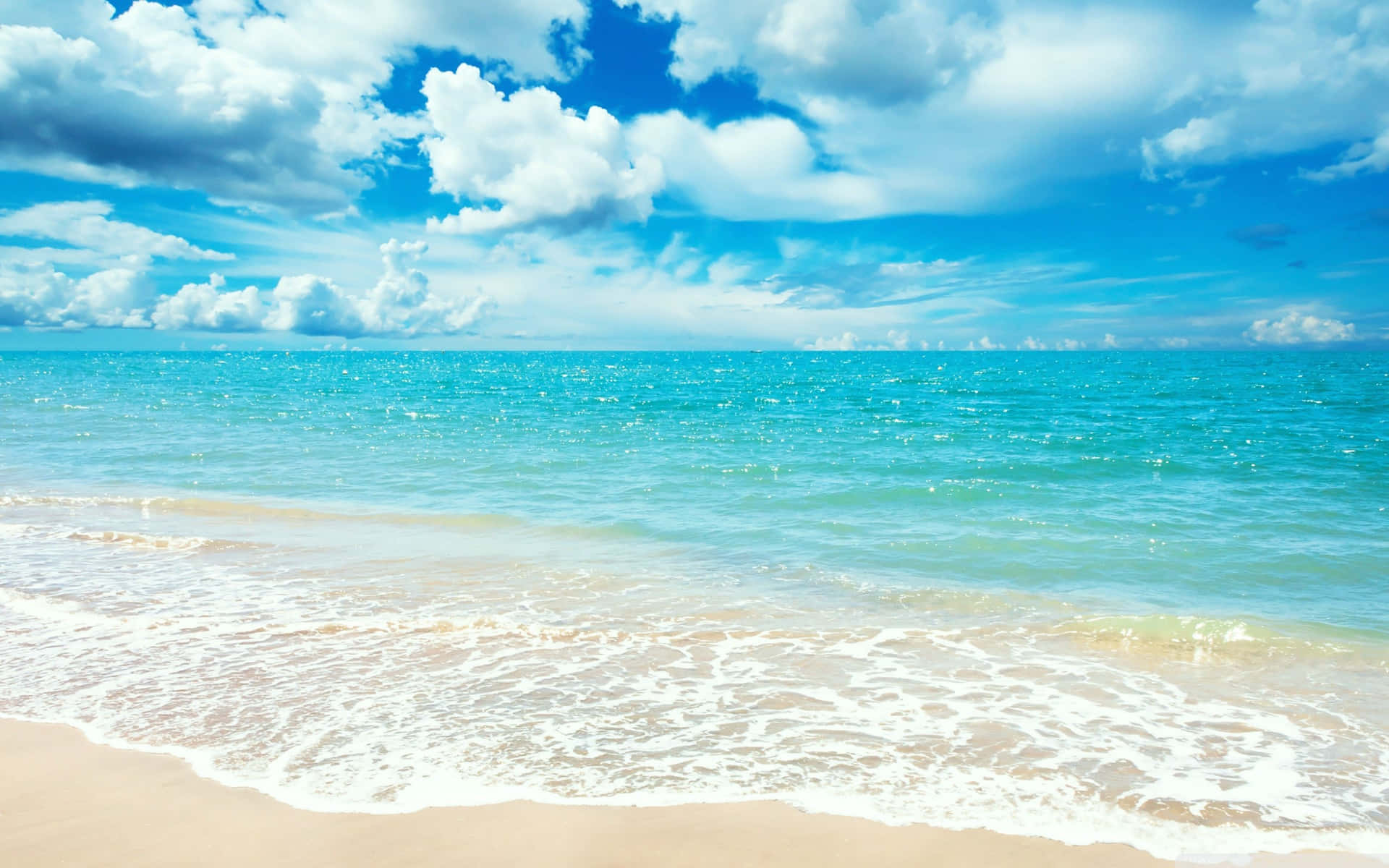 Take in the tranquil view of a stunning beach landscape