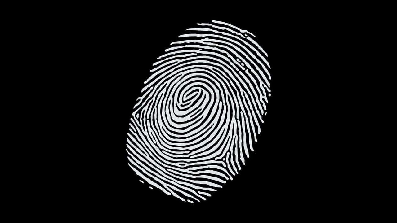 High Resolution Black Background Human Fingerprint