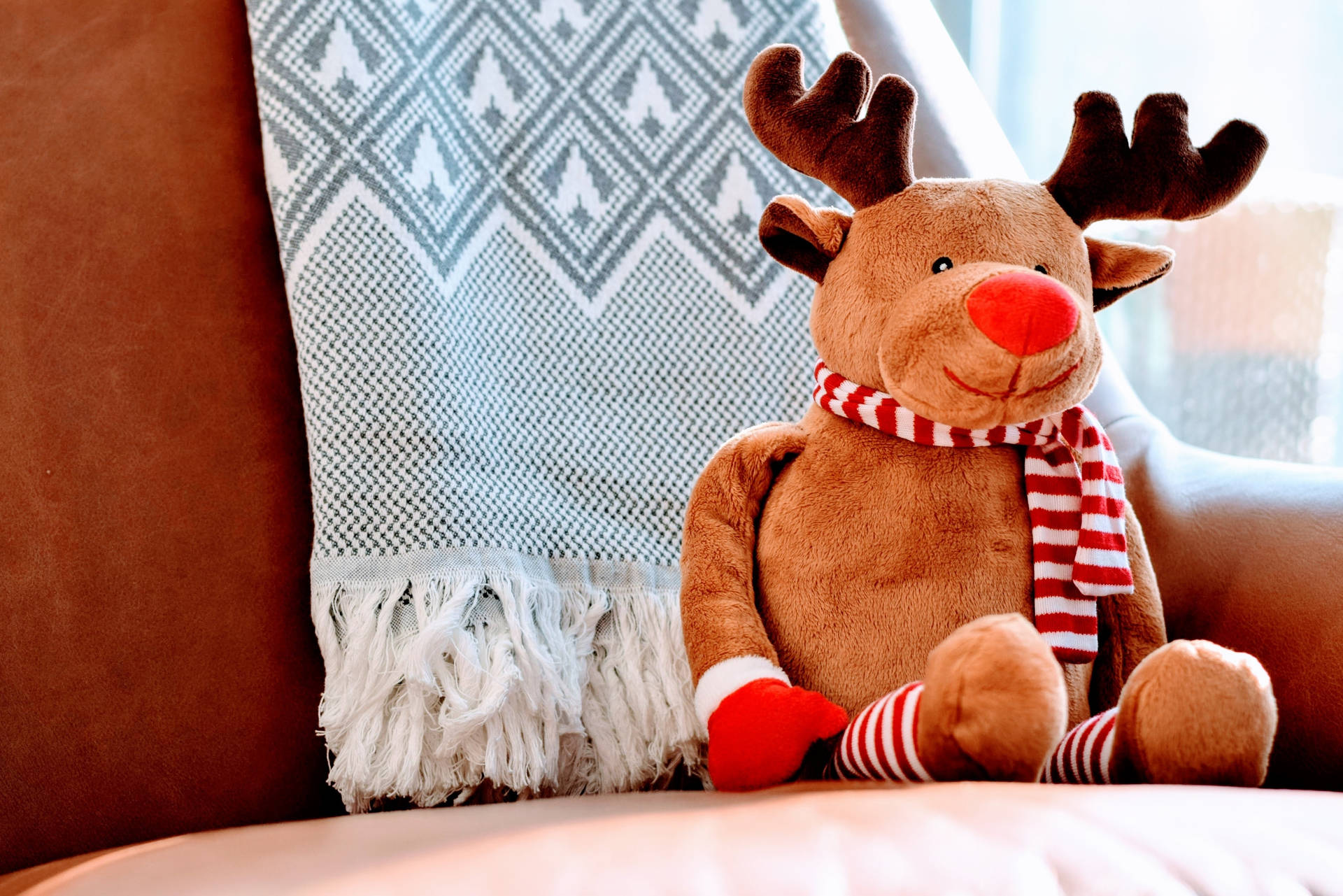 High Resolution Christmas Stuffed Moose
