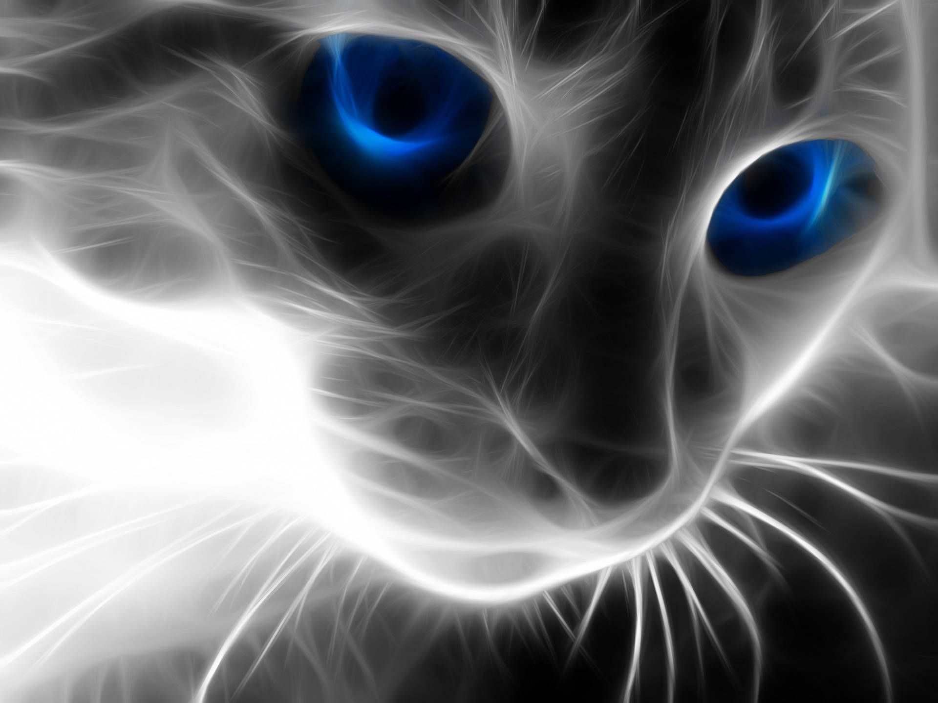 High Resolution Desktop Cat Digital Art