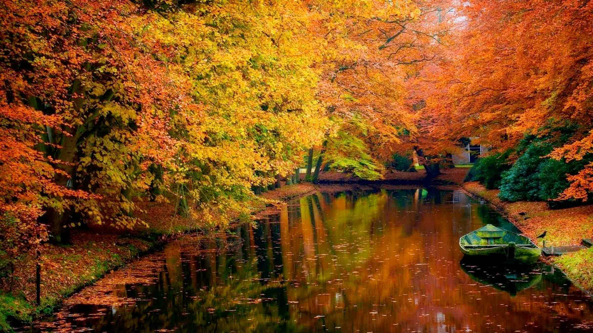 High Resolution Fall Tranquil Lake And Trees Wallpaper