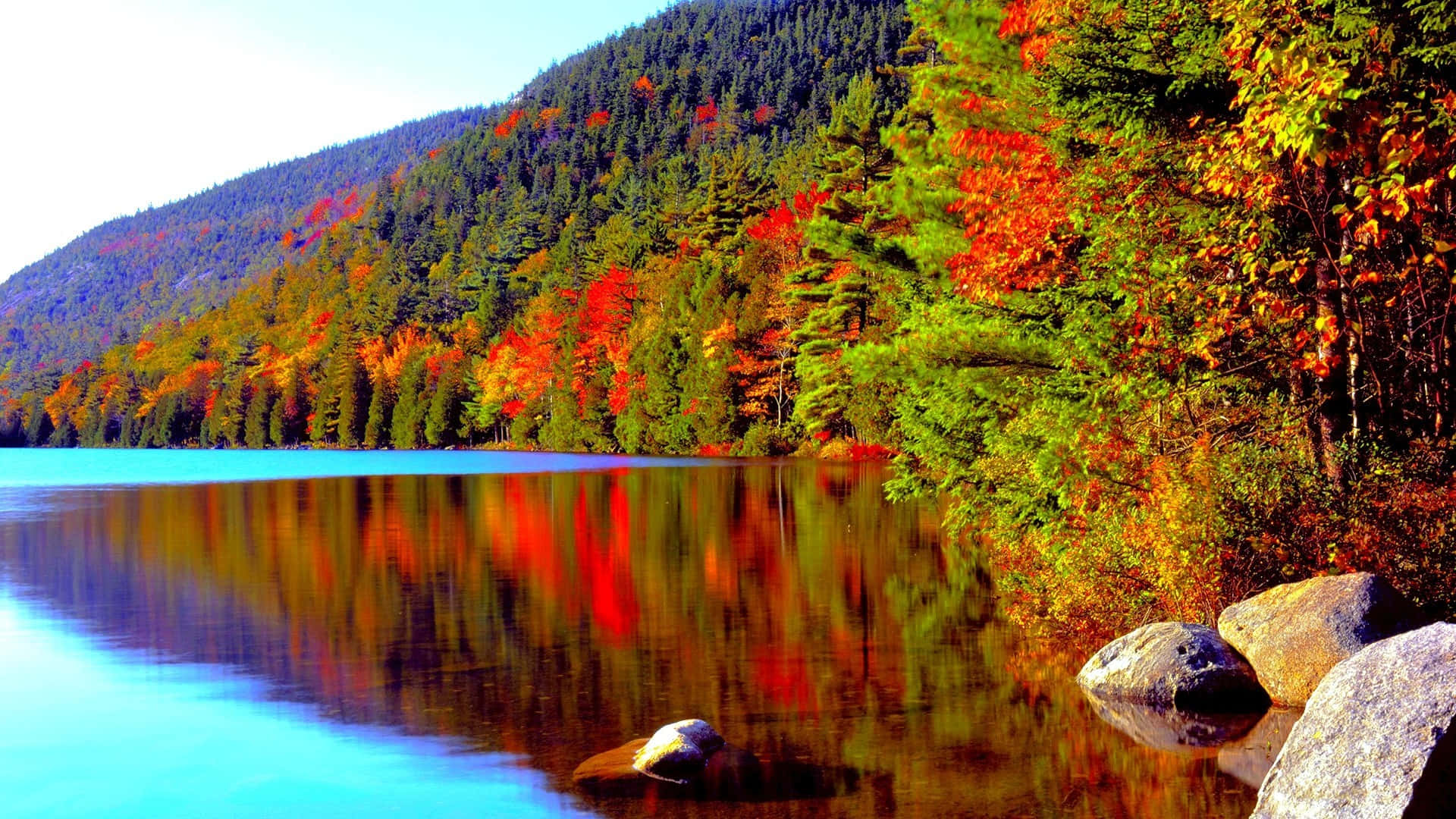 Acadia National Park High Resolution Fall Wallpaper