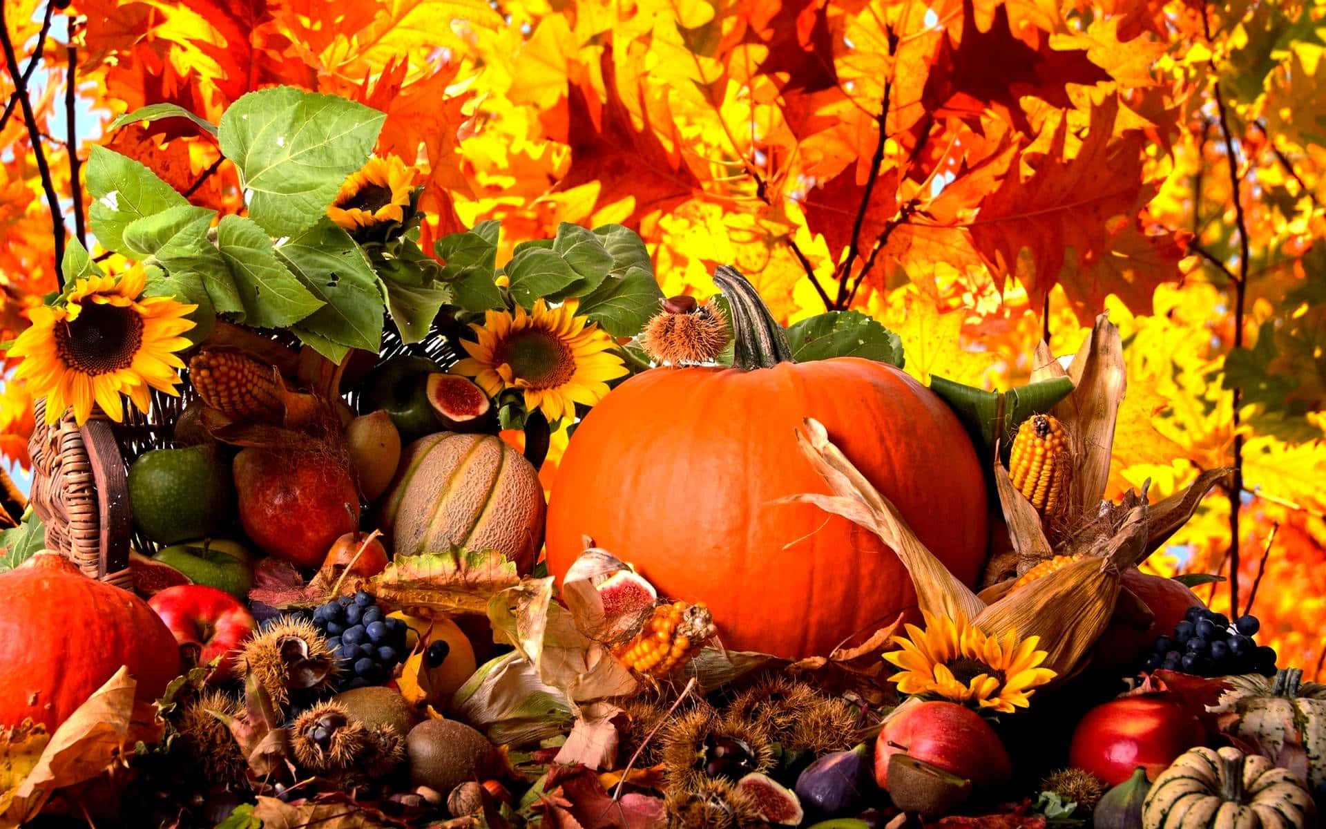 High Resolution Fall Fruits Vegetables And Flowers Harvest Wallpaper