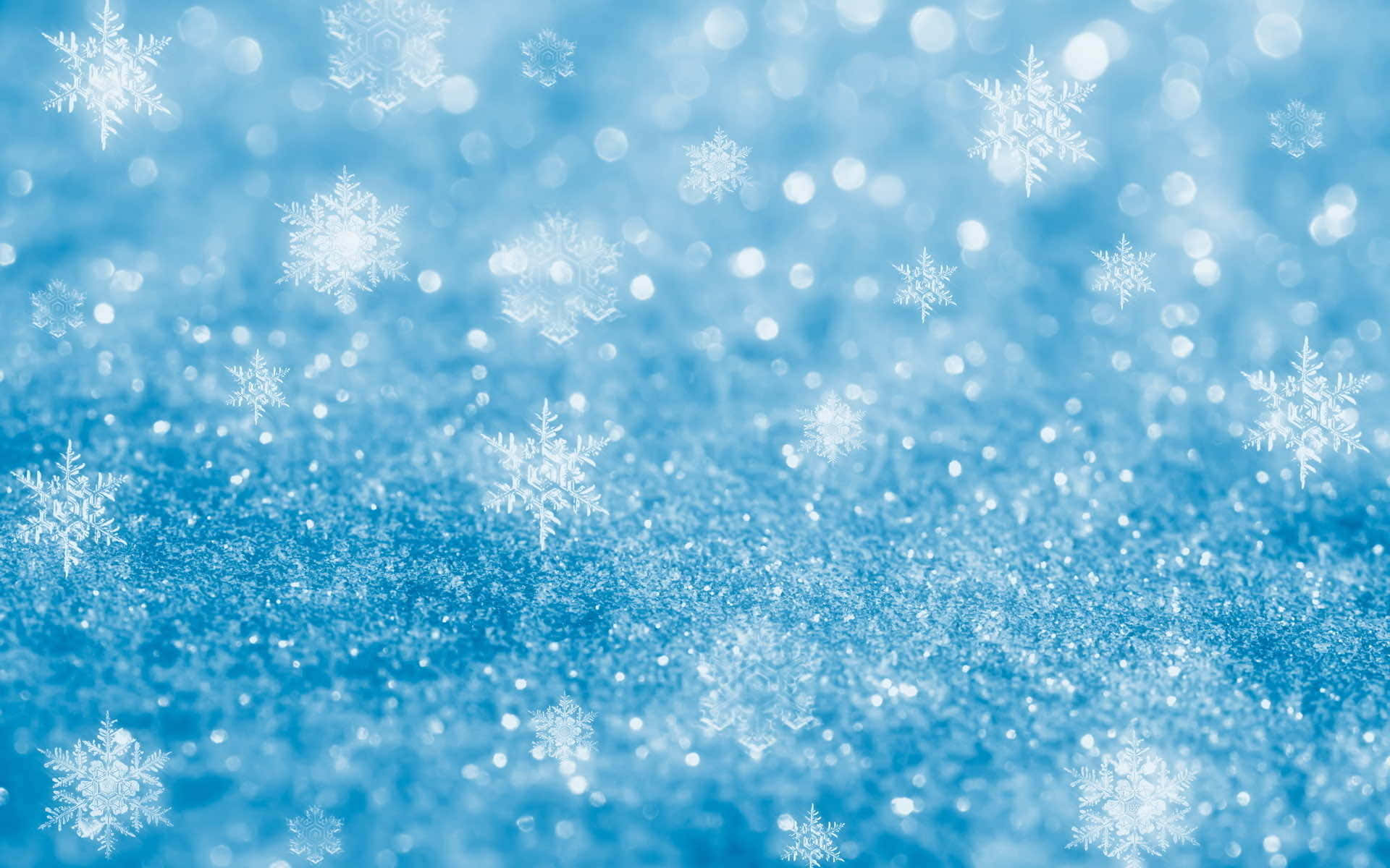 Fondode Alta Resolución Con Copos De Nieve Azules Brillantes.