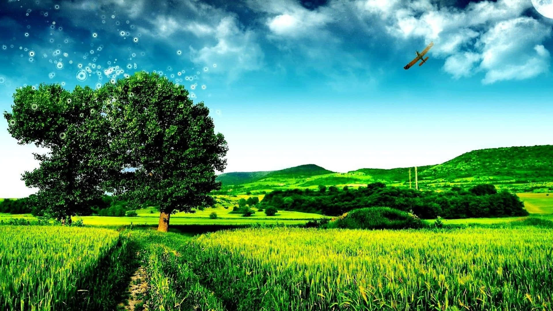 a green field with a tree and a plane flying over it