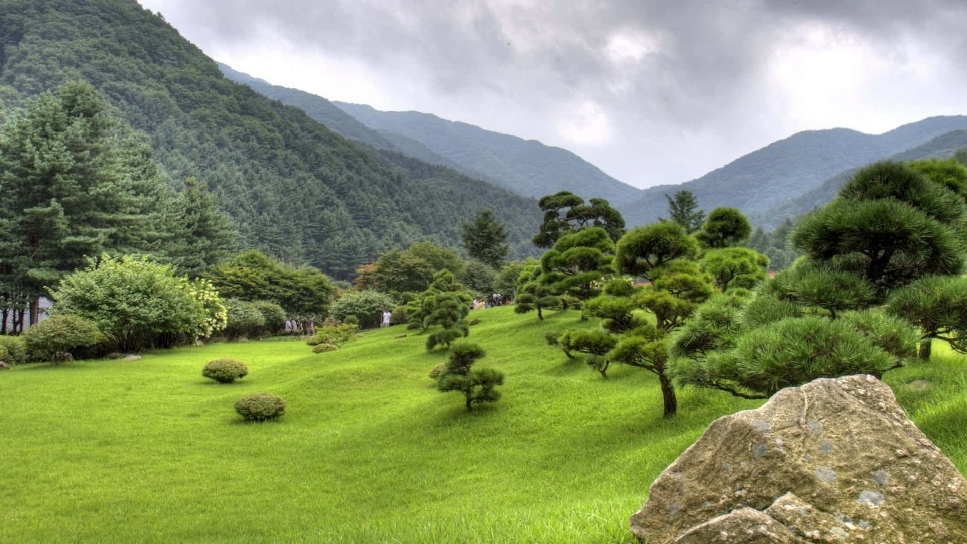 A Green Grassy Area With Trees And Rocks