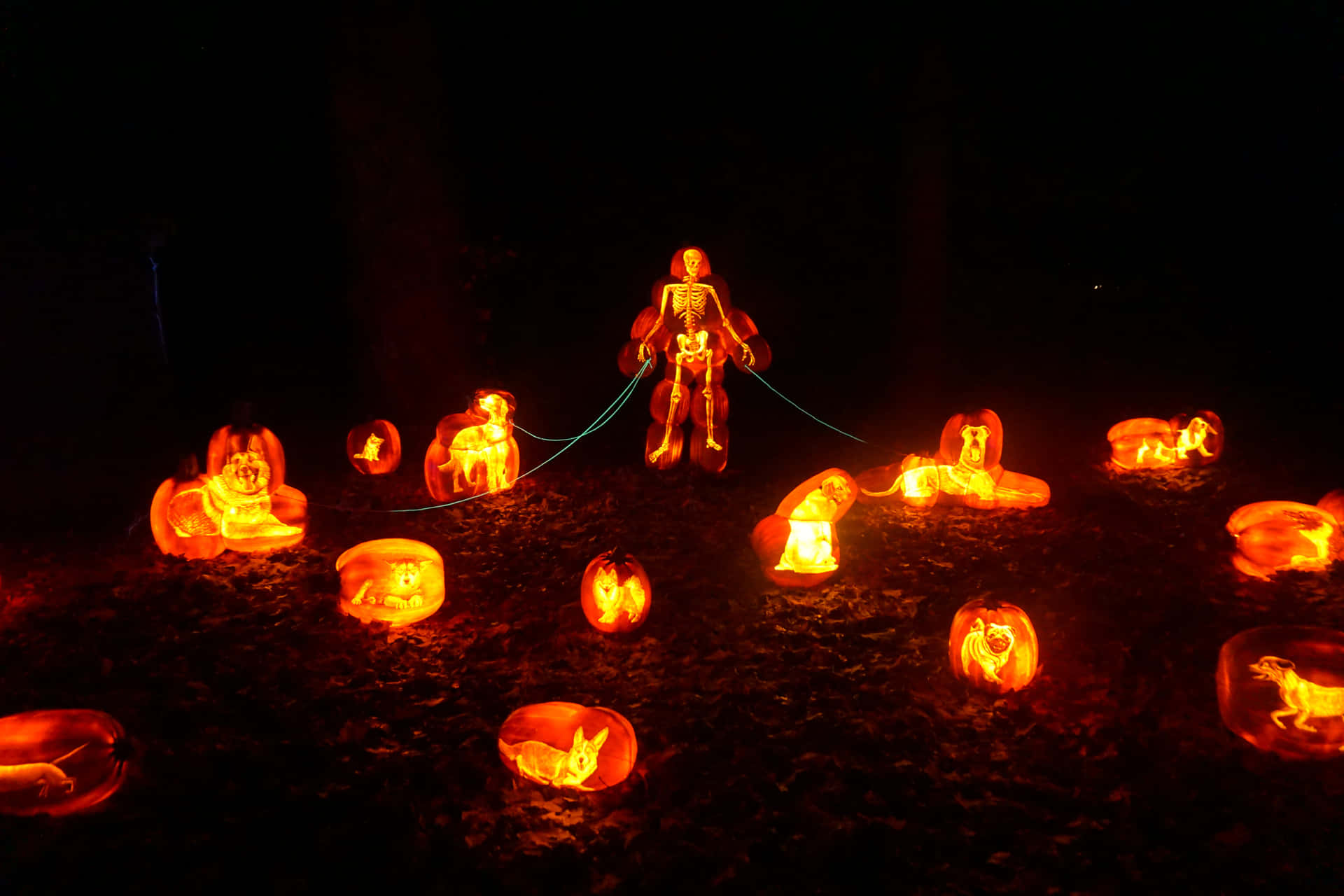 Leuchtendesskelett Mit Hoher Auflösung Als Hintergrundbild Für Halloween