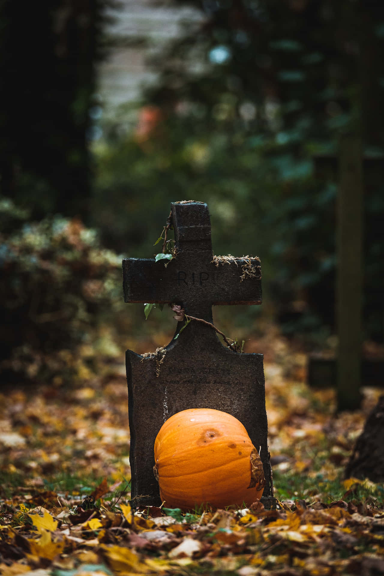 Sfondodi Halloween Ad Alta Risoluzione Con Un Cimitero