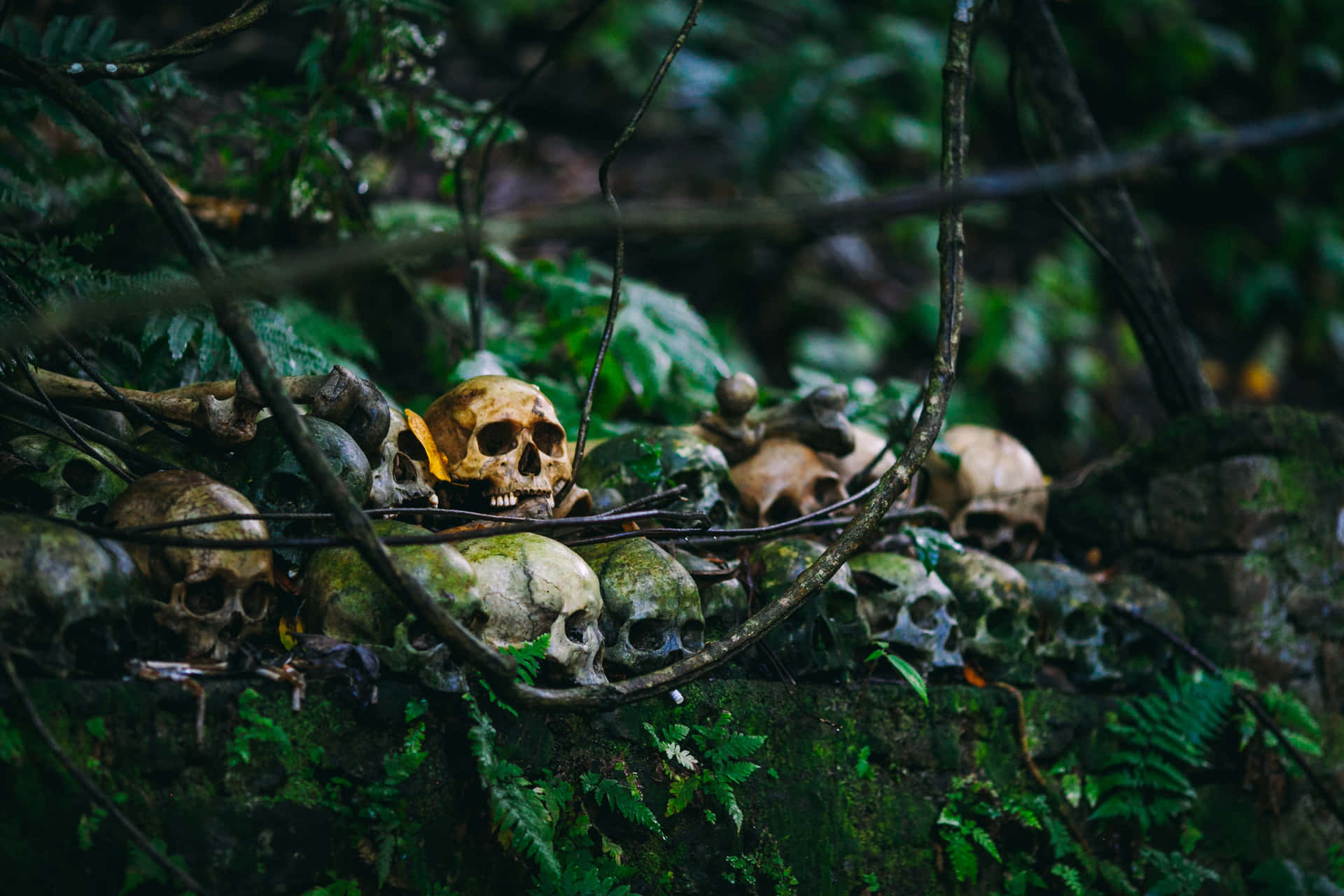 Skulls High Resolution Halloween Background