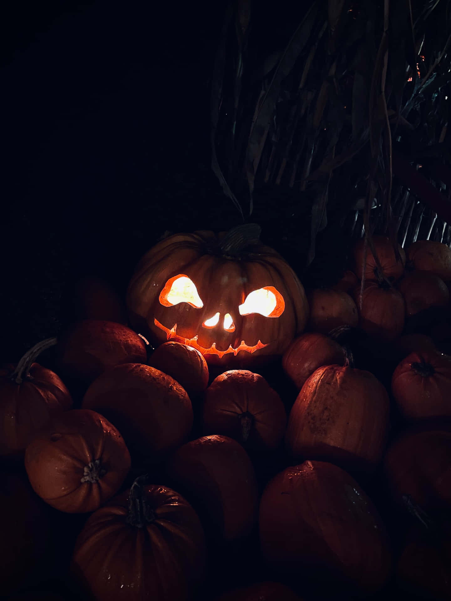 Lysende græskar øjne høj opløsning Halloween baggrund