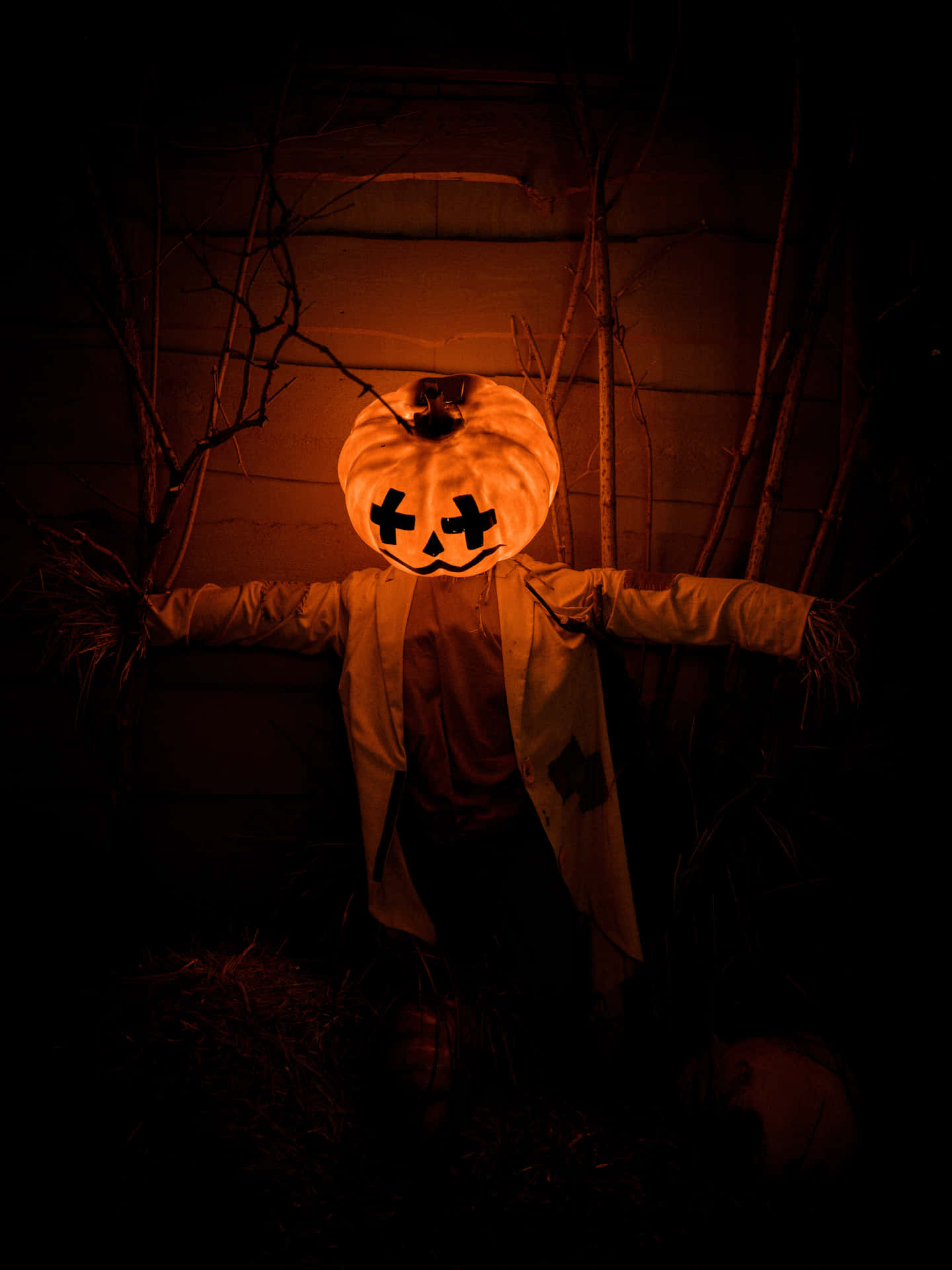Høj opløsning Halloween baggrund med trist Jack-O-Lantern