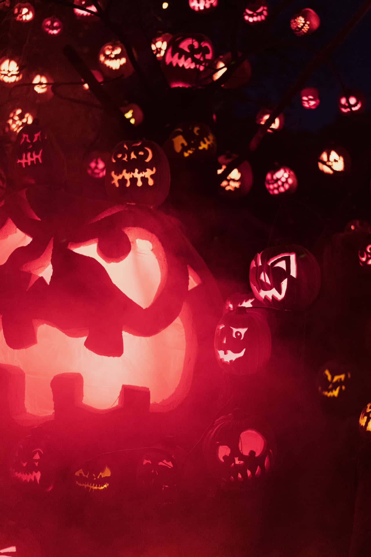 Lyserød Jack-O-Lantern High Opløsning Halloween Baggrund