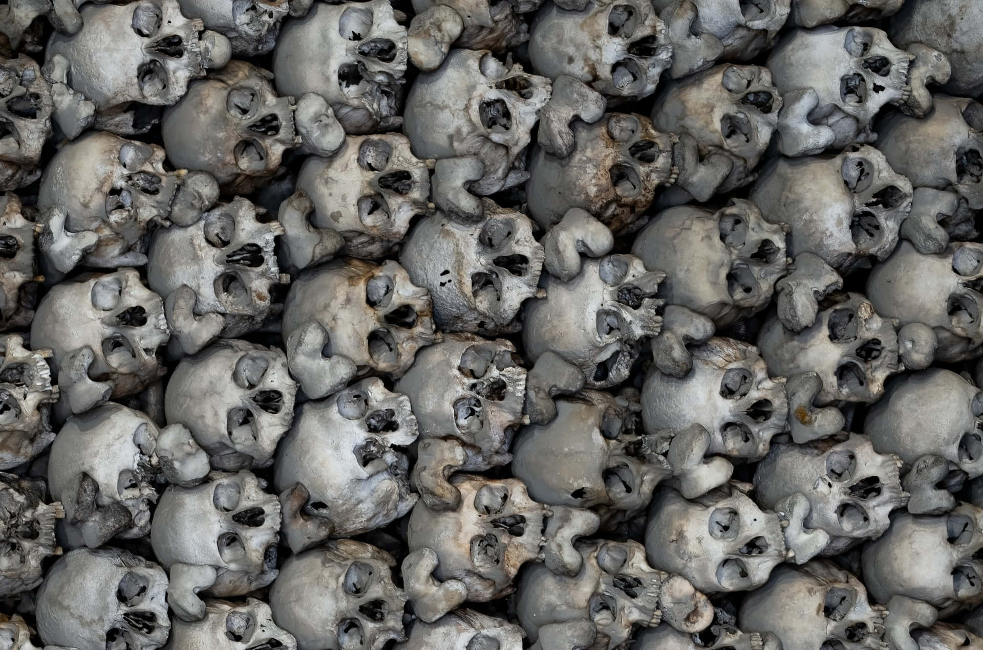 Bone Skulls Højopløsnings Halloween Baggrund