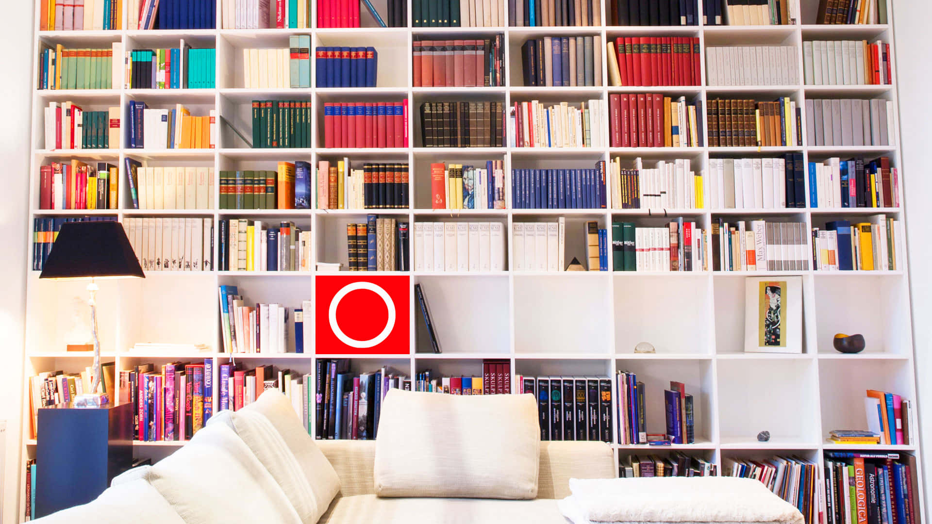 Tall Bookshelf High Resolution Realistic Zoom Virtual Background