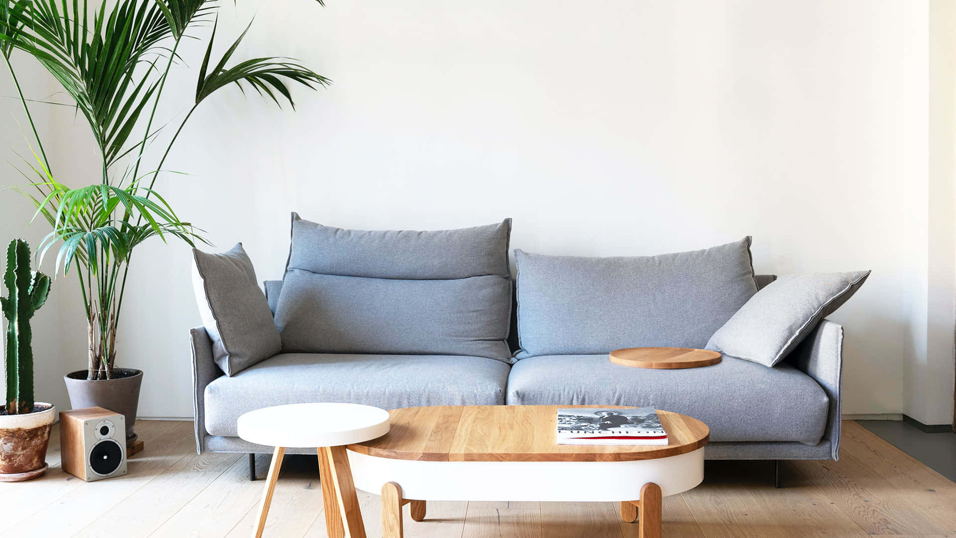 Grå sofa Højopløselig Realistisk Zoom Virtuelt Baggrund