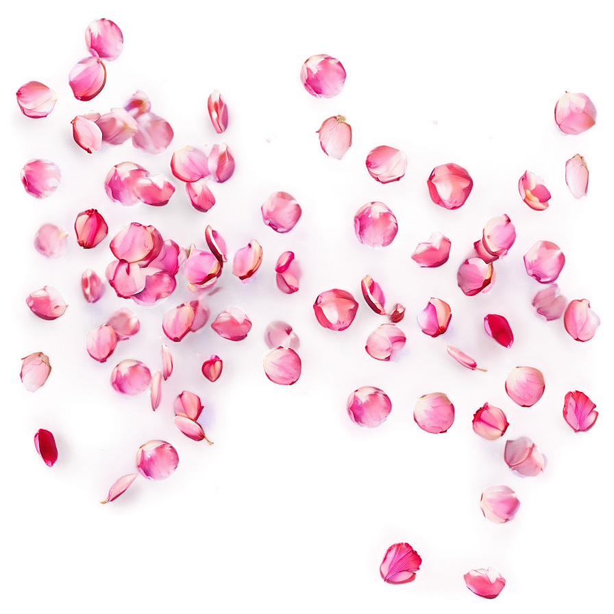 High Resolution Rose Petals Falling Png 82 PNG
