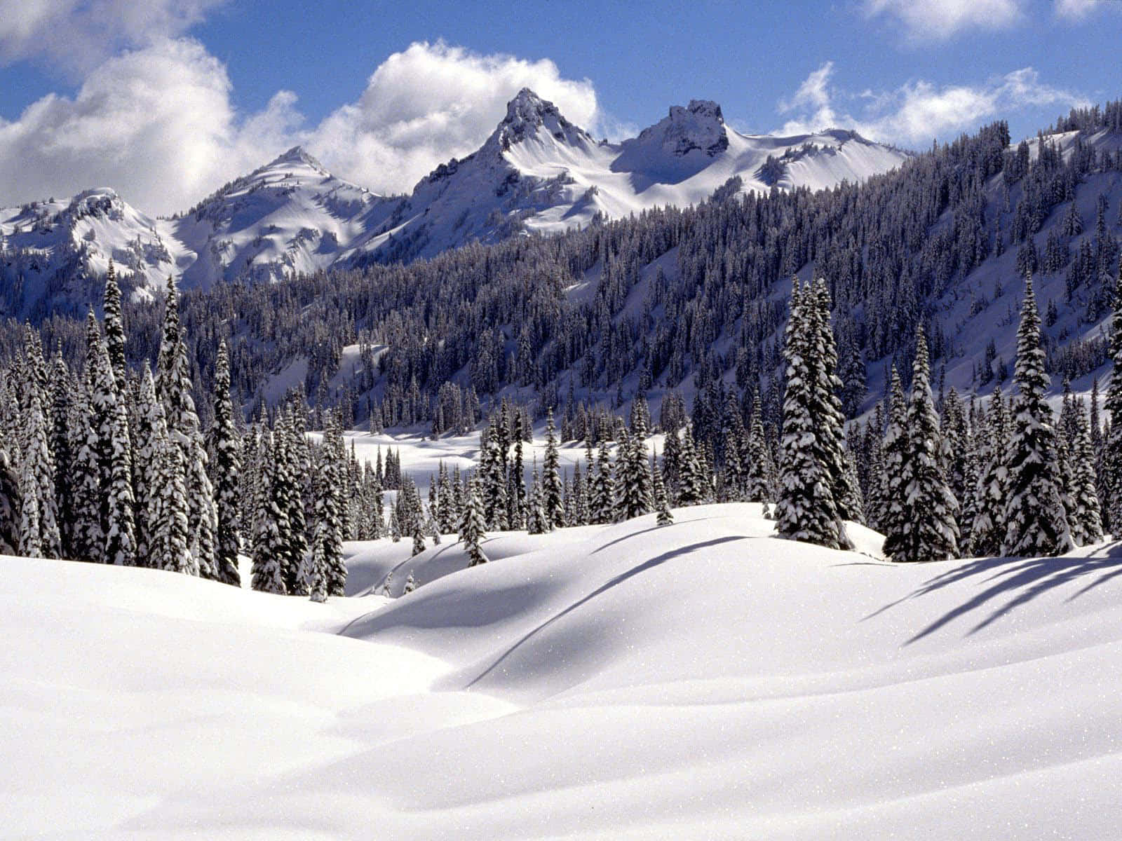 A beautiful winter landscape with snow-covered landscape