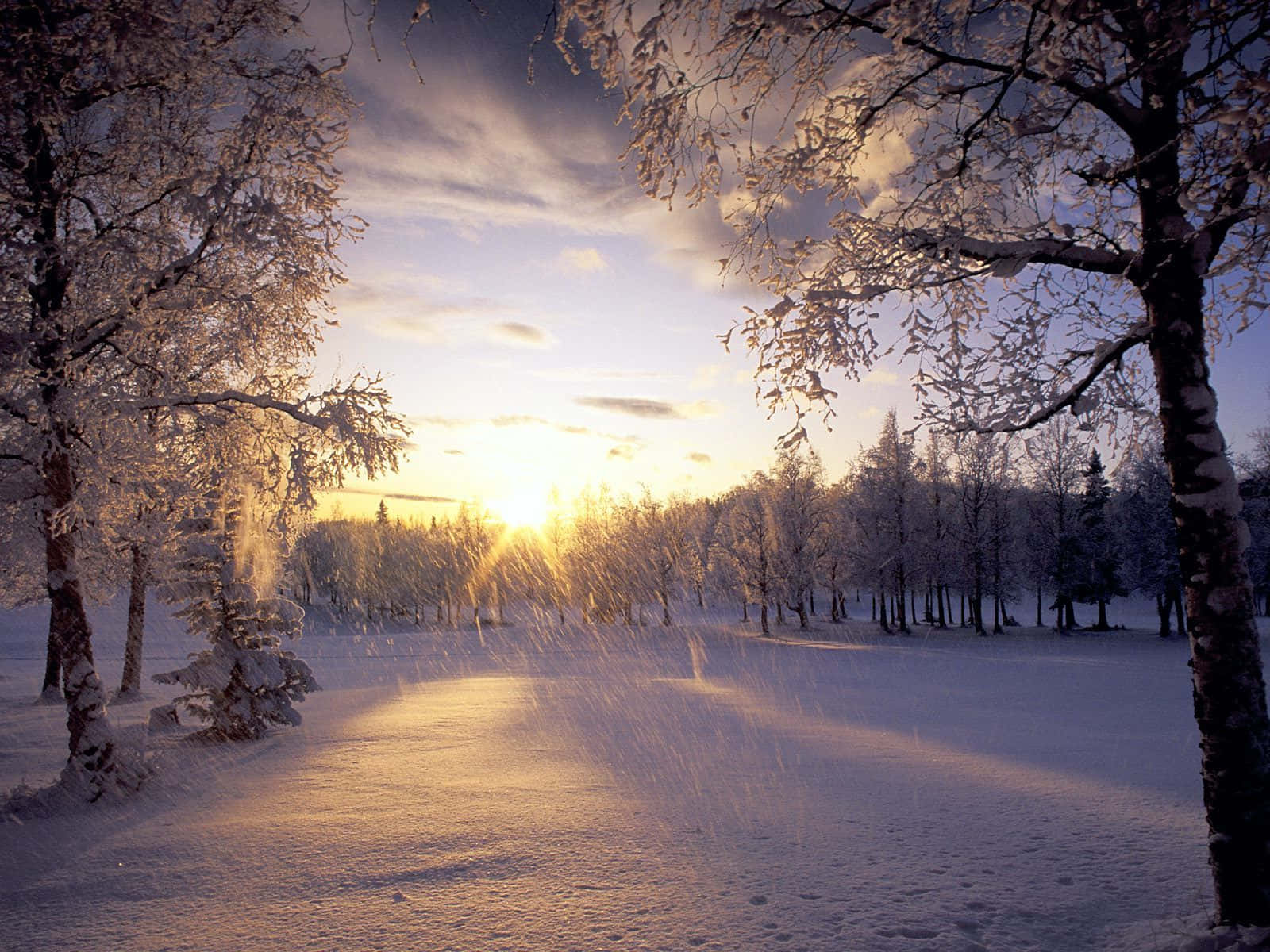 Goditila Bellezza Dell'inverno Con Questo Sfondo Neve Ad Alta Risoluzione.