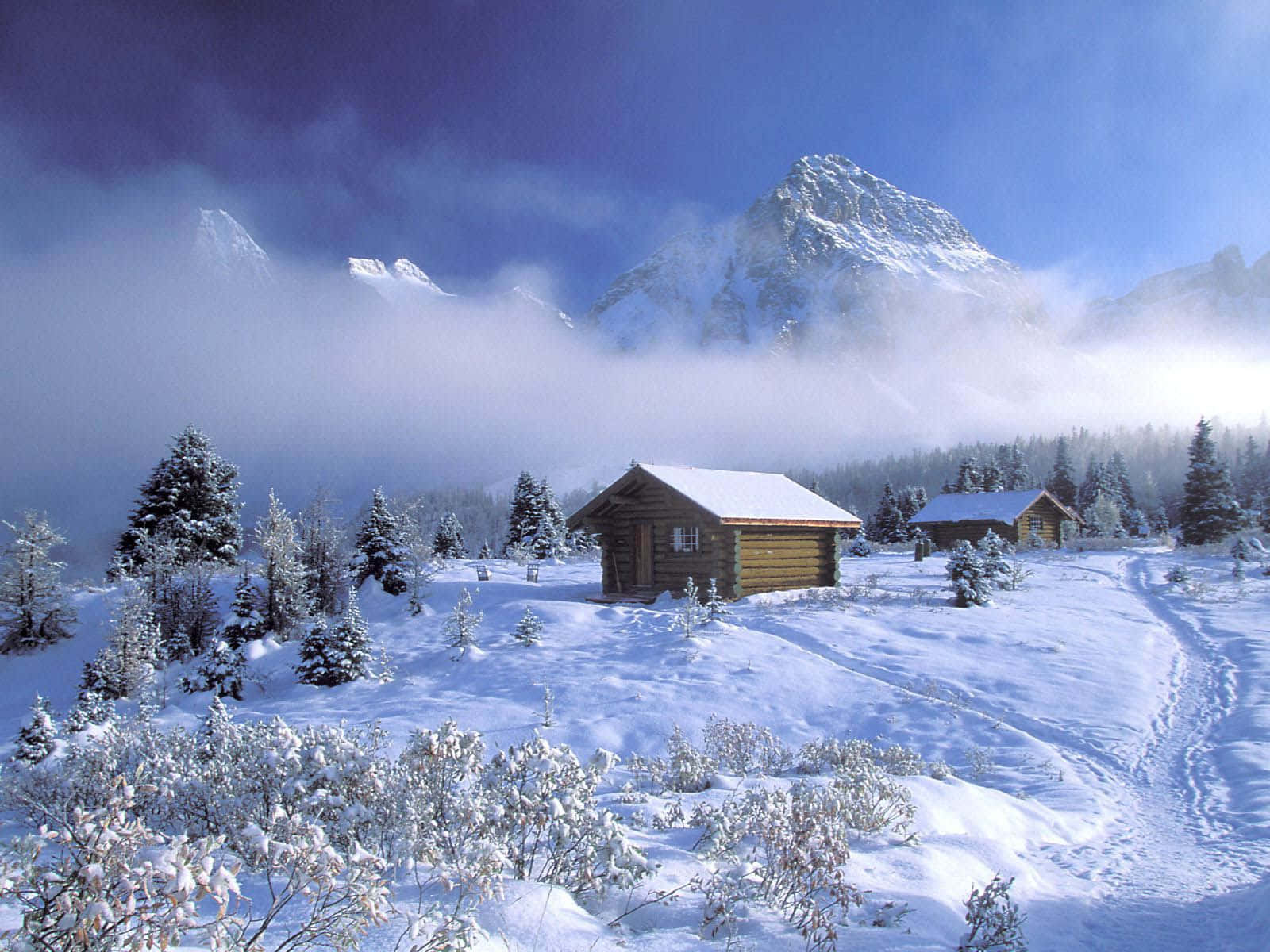 An Immersive Winter Snow Landscape.