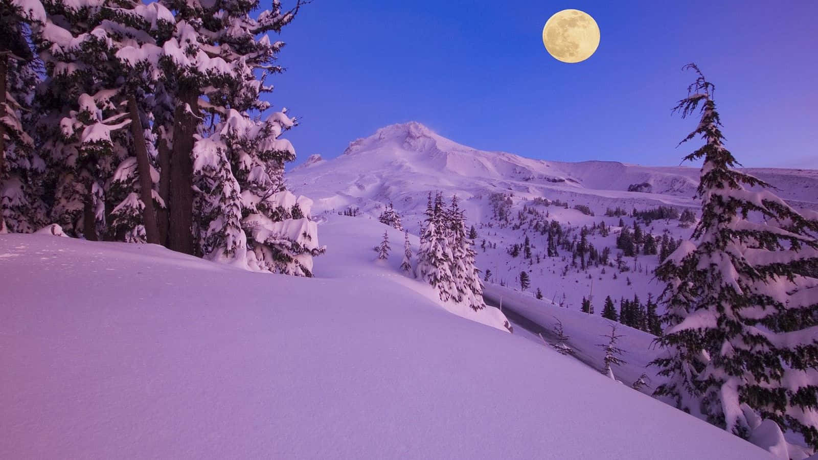 Immaginepaesaggio Invernale -- Manto Di Neve Fresca
