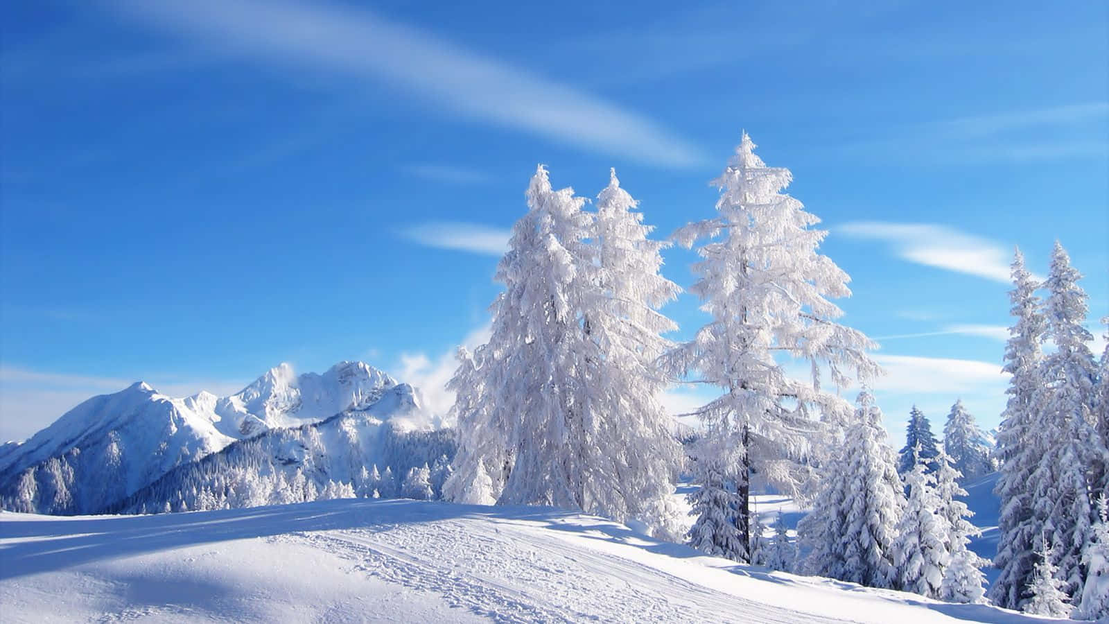 Enjoy the scenery of a picturesque winter landscape.