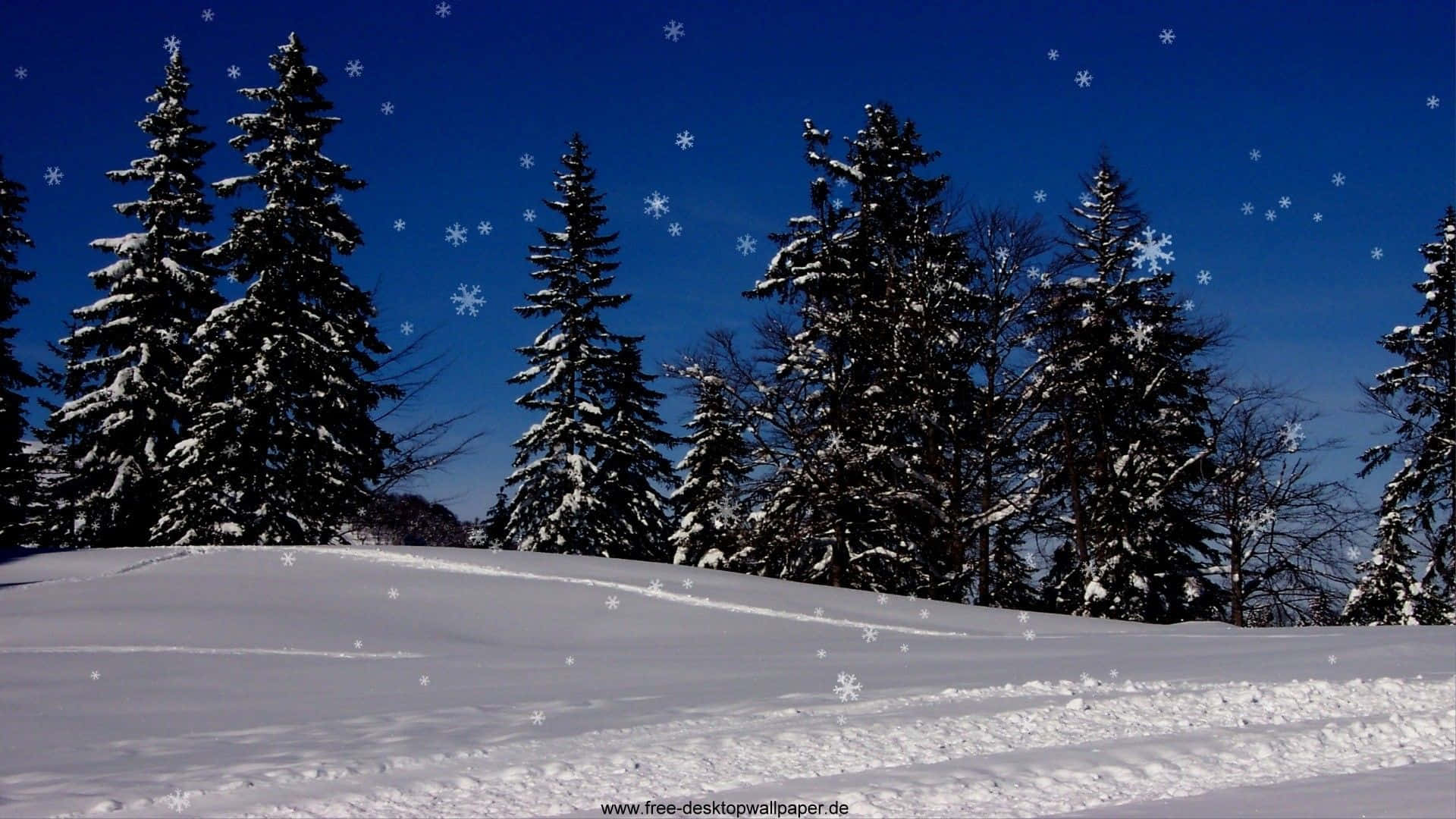 Goditila Bellezza Dell'inverno Con Questo Sfondo Di Neve Scintillante Ad Alta Risoluzione.