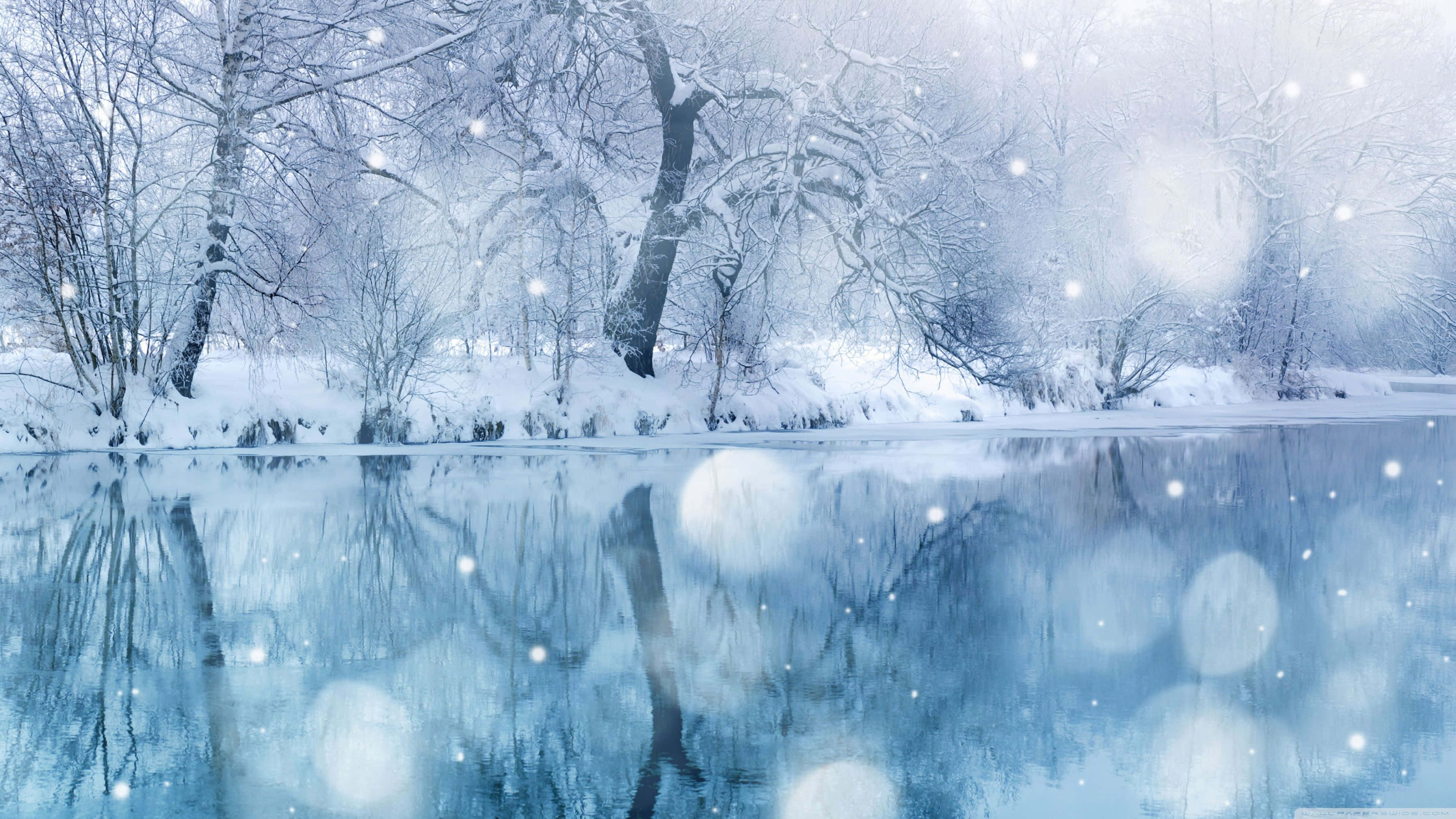 Download Picture-perfect snowy winter day 