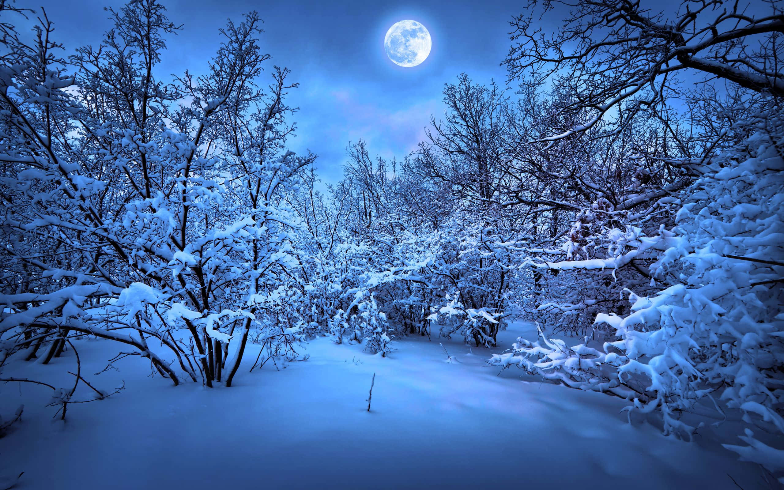 "Beautiful High Resolution Snow Scene"