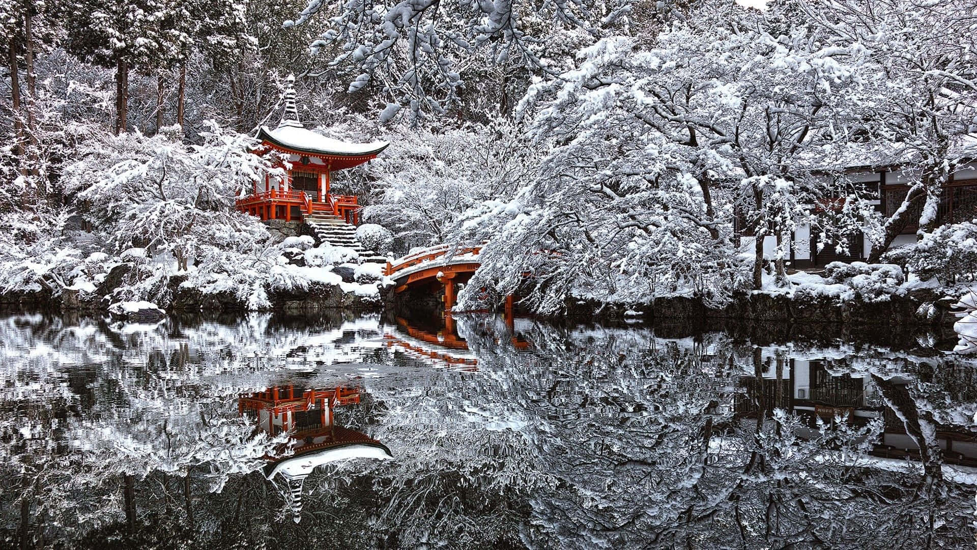 Beautiful Winter Wonderland