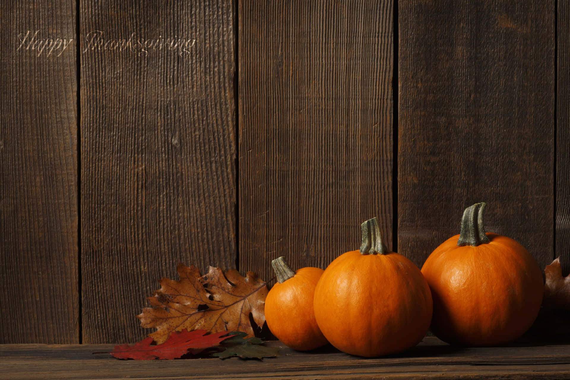High Resolution Thanksgiving Pumpkins With A Wooden Backdrop Background
