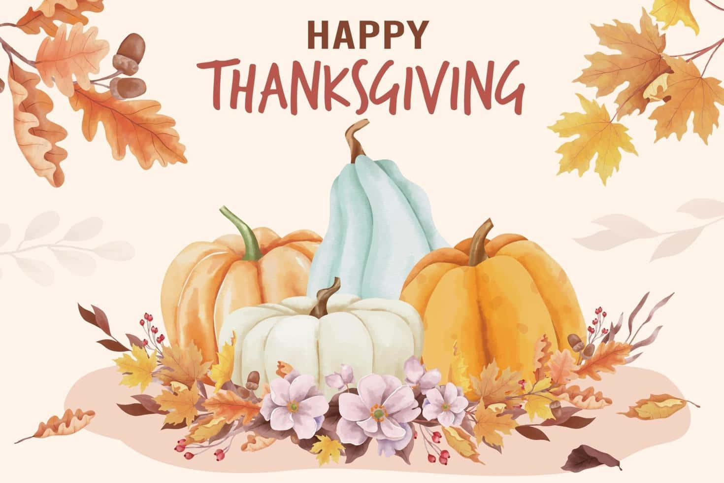 High Resolution Thanksgiving Different Sizes Of Pumpkins Background