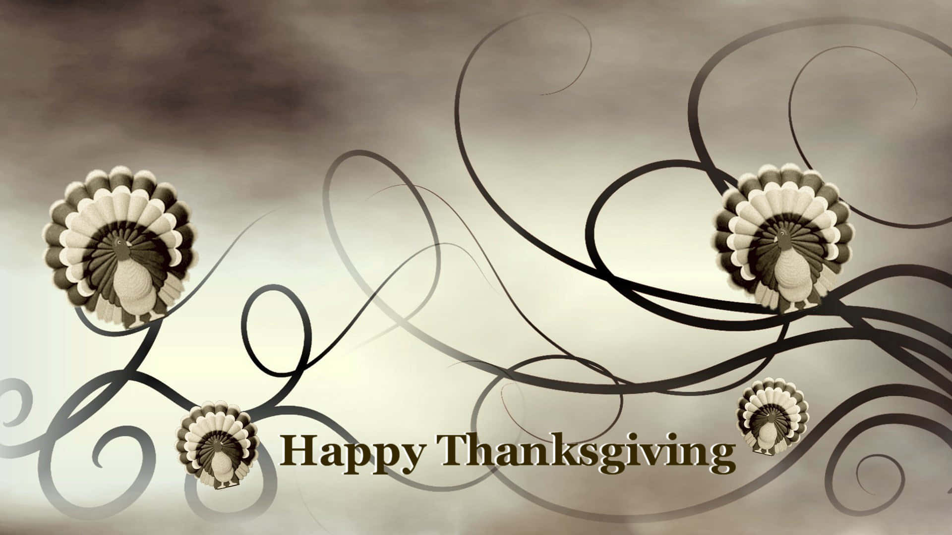 High Resolution Thanksgiving Black Photo Turkeys Background