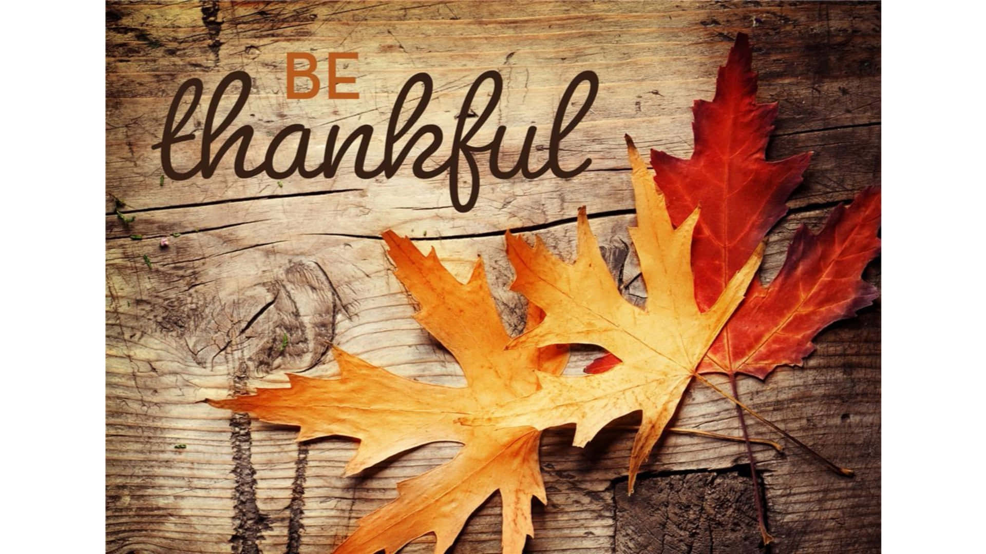 Sfondodi Alta Risoluzione Per Il Giorno Del Ringraziamento, Sii Grato