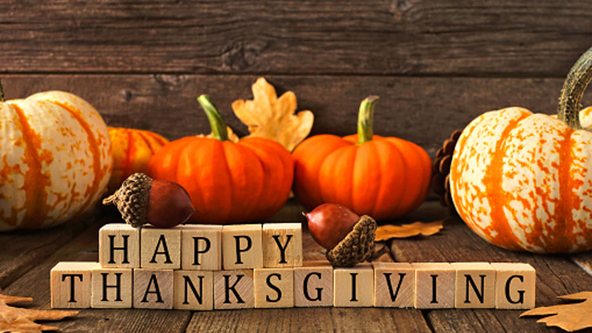 High Resolution Thanksgiving Various Colored Pumpkins Background