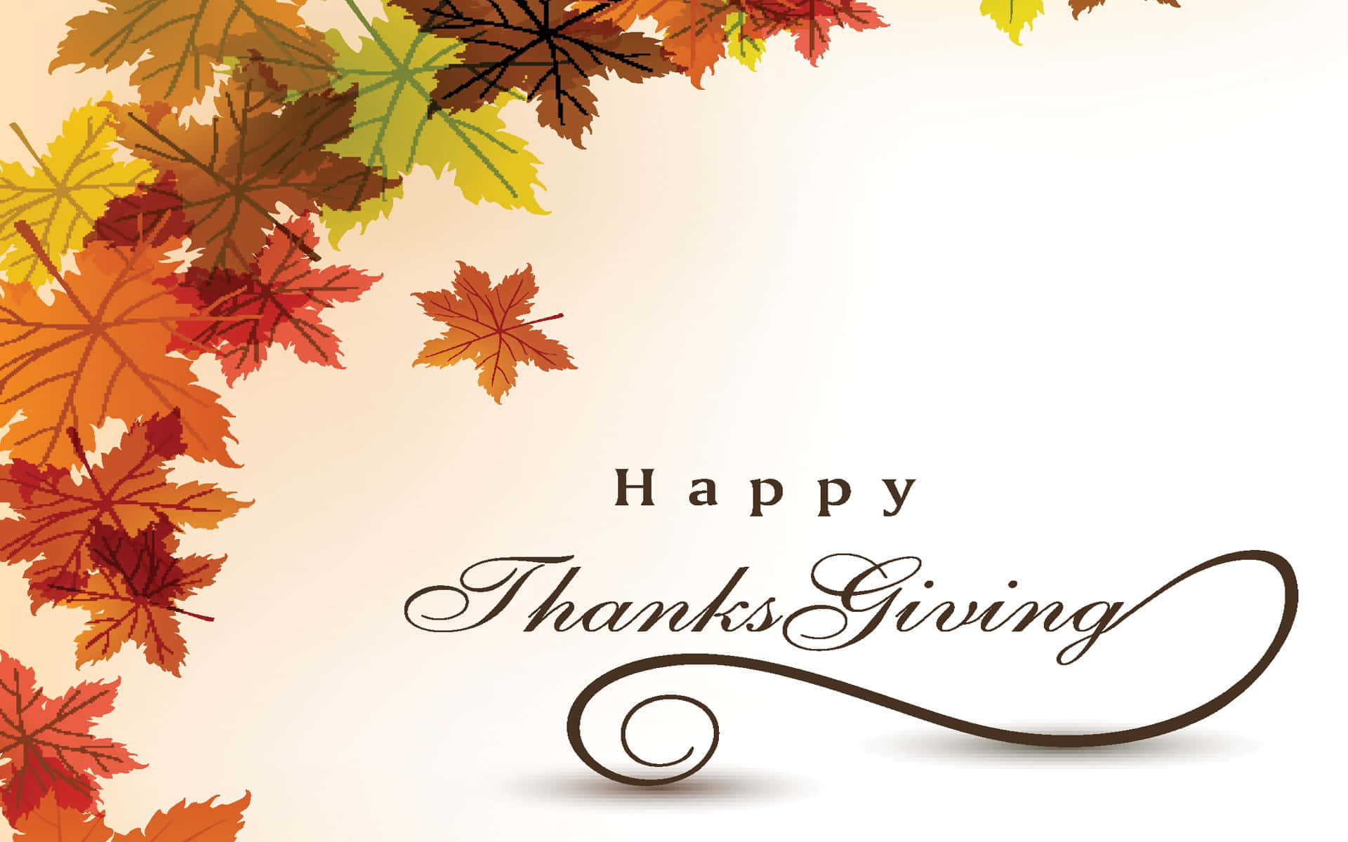 High Resolution Thanksgiving Different Color Maple Leaves Background