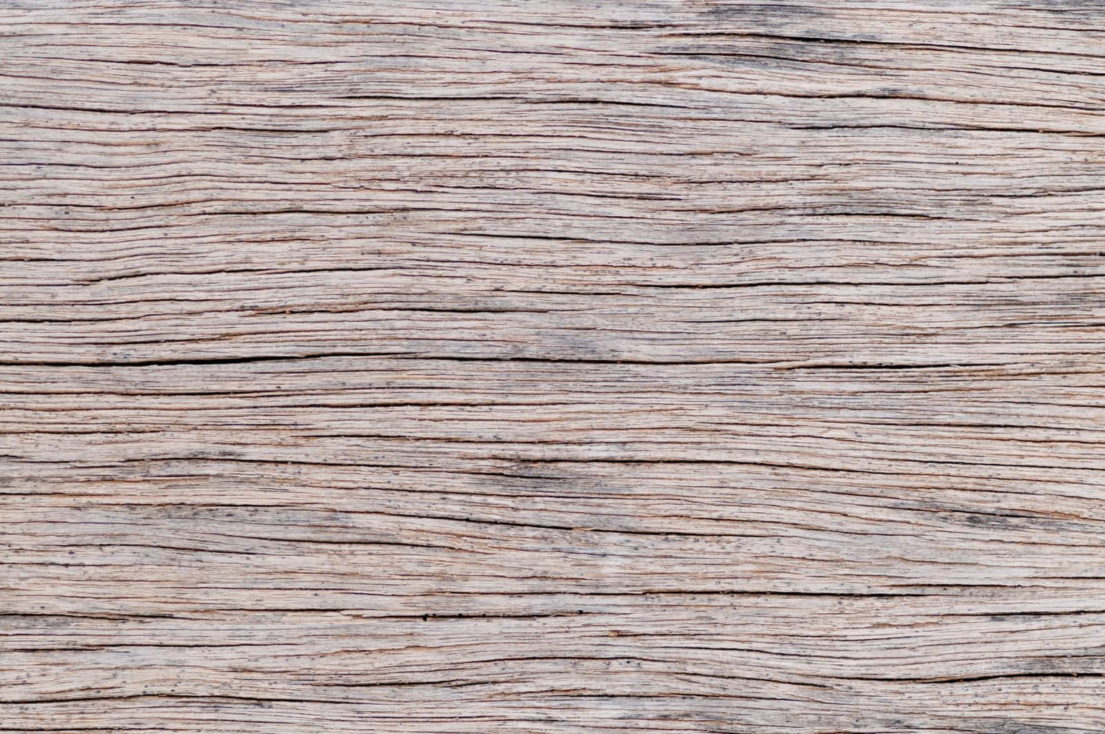 Nature's beauty, High Resolution Wood Background