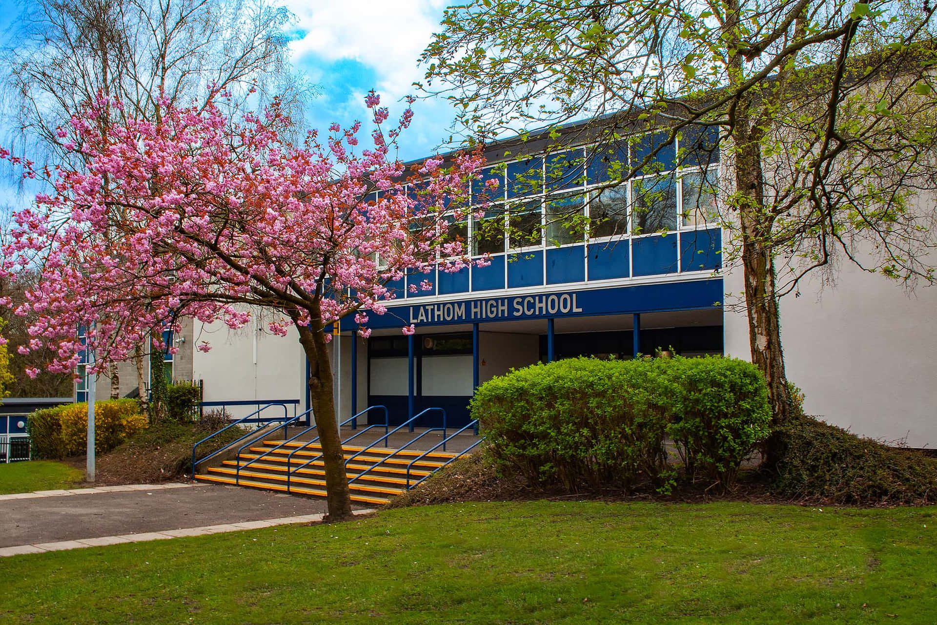 A School Building With A Pink Tree