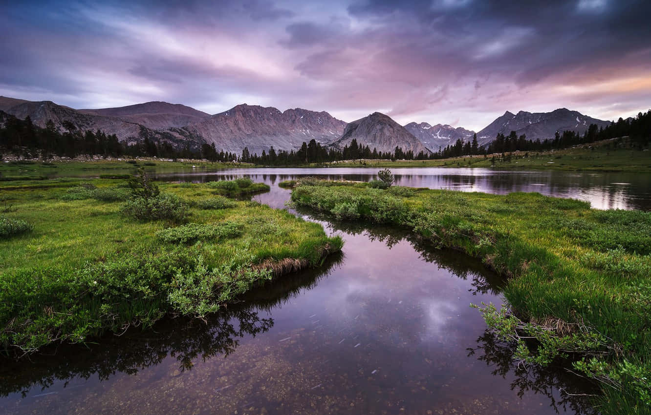 Experience The Beauty Of High Sierra Wallpaper
