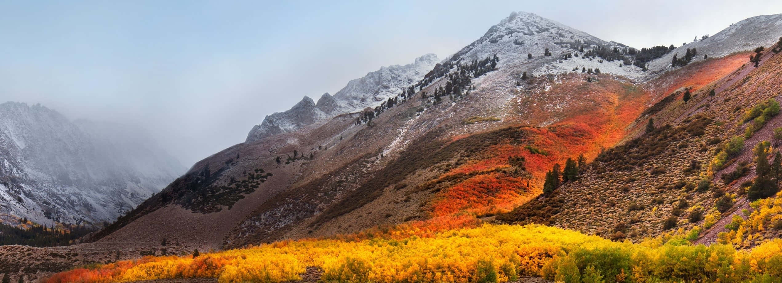 Enjoy the Natural Beauty of High Sierra Wallpaper