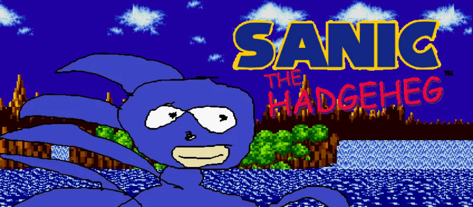 High Speed Sanic Adventure Wallpaper