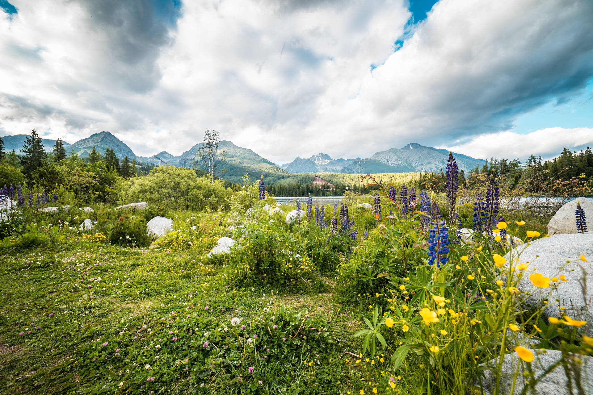 Lasmontañas De Los Altos Tatras, La Naturaleza Más Hermosa. Fondo de pantalla