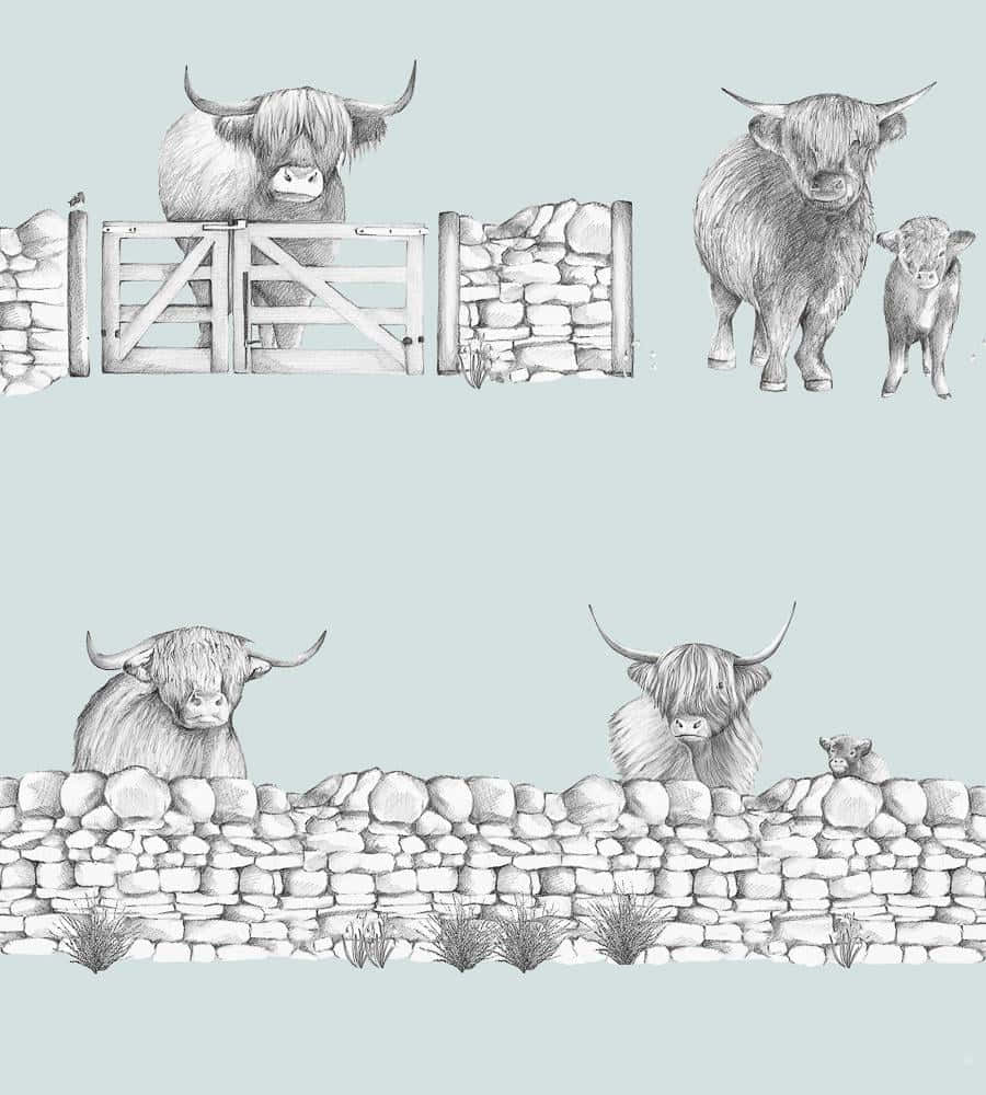 Imagemde Uma Vaca Highland De 900 X 1000 Pixels