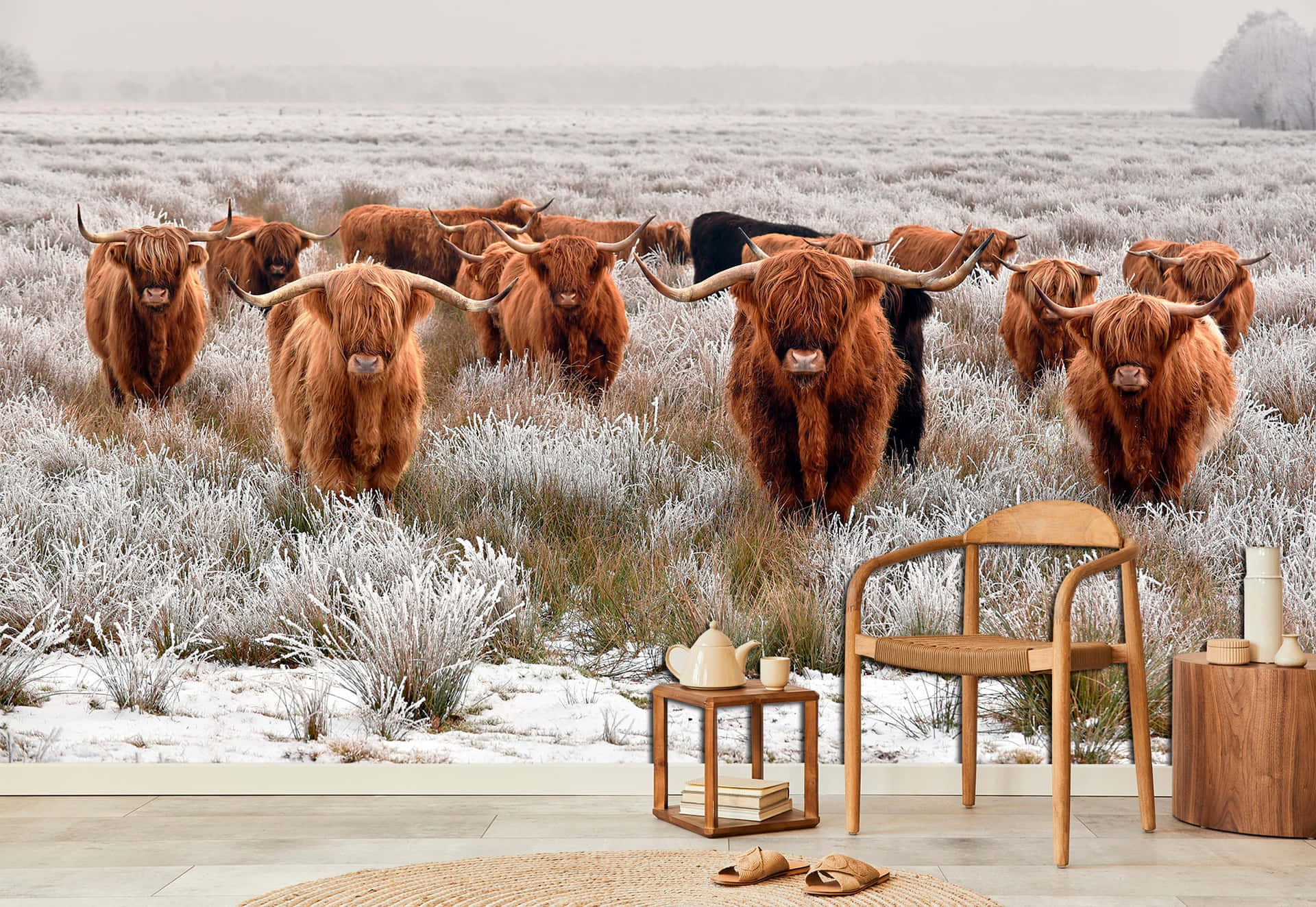 Highland Cowsin Frosty Field Interior Design Contrast.jpg Wallpaper