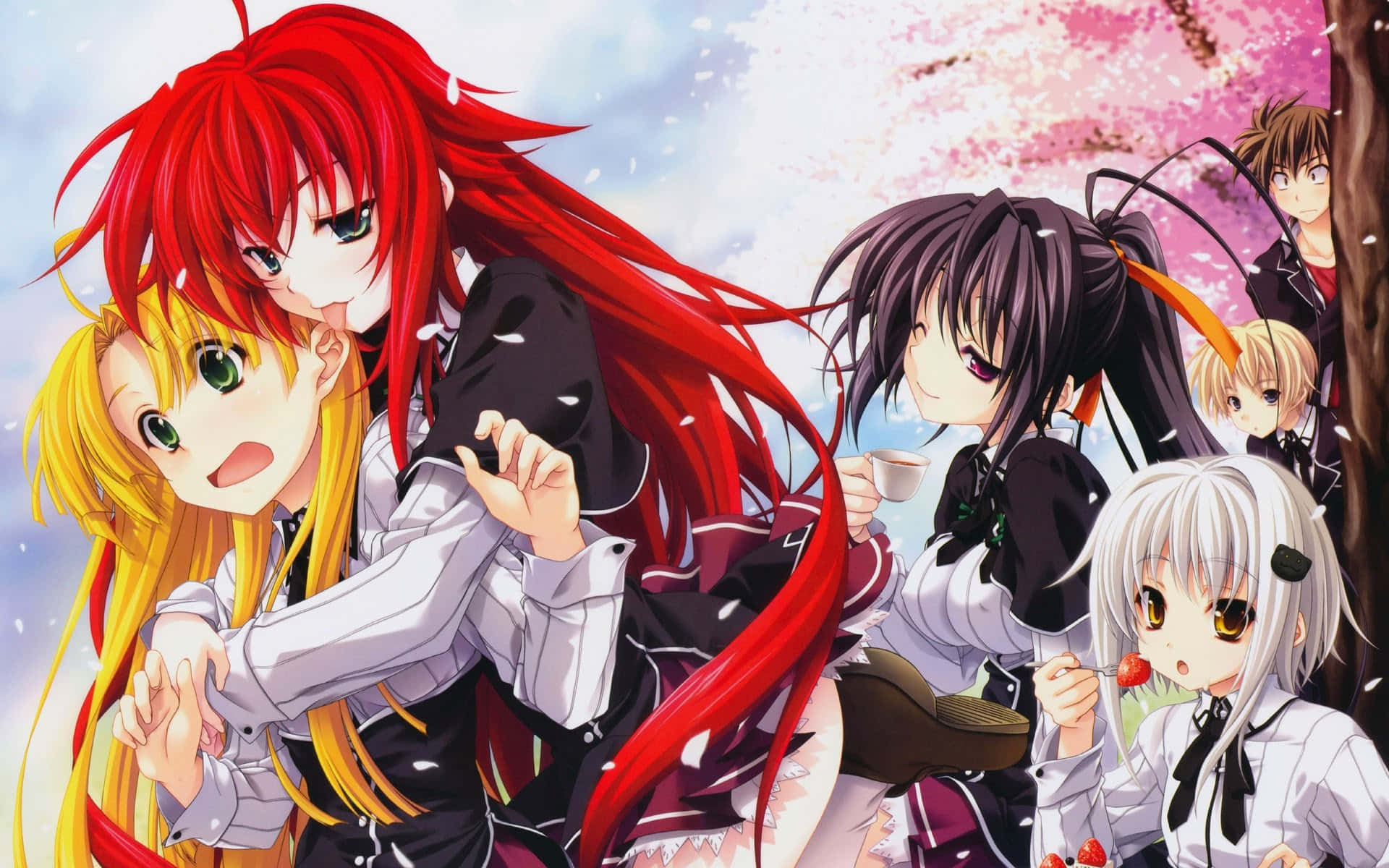 Highschool Dxd Personages Kersenbloesems Achtergrond