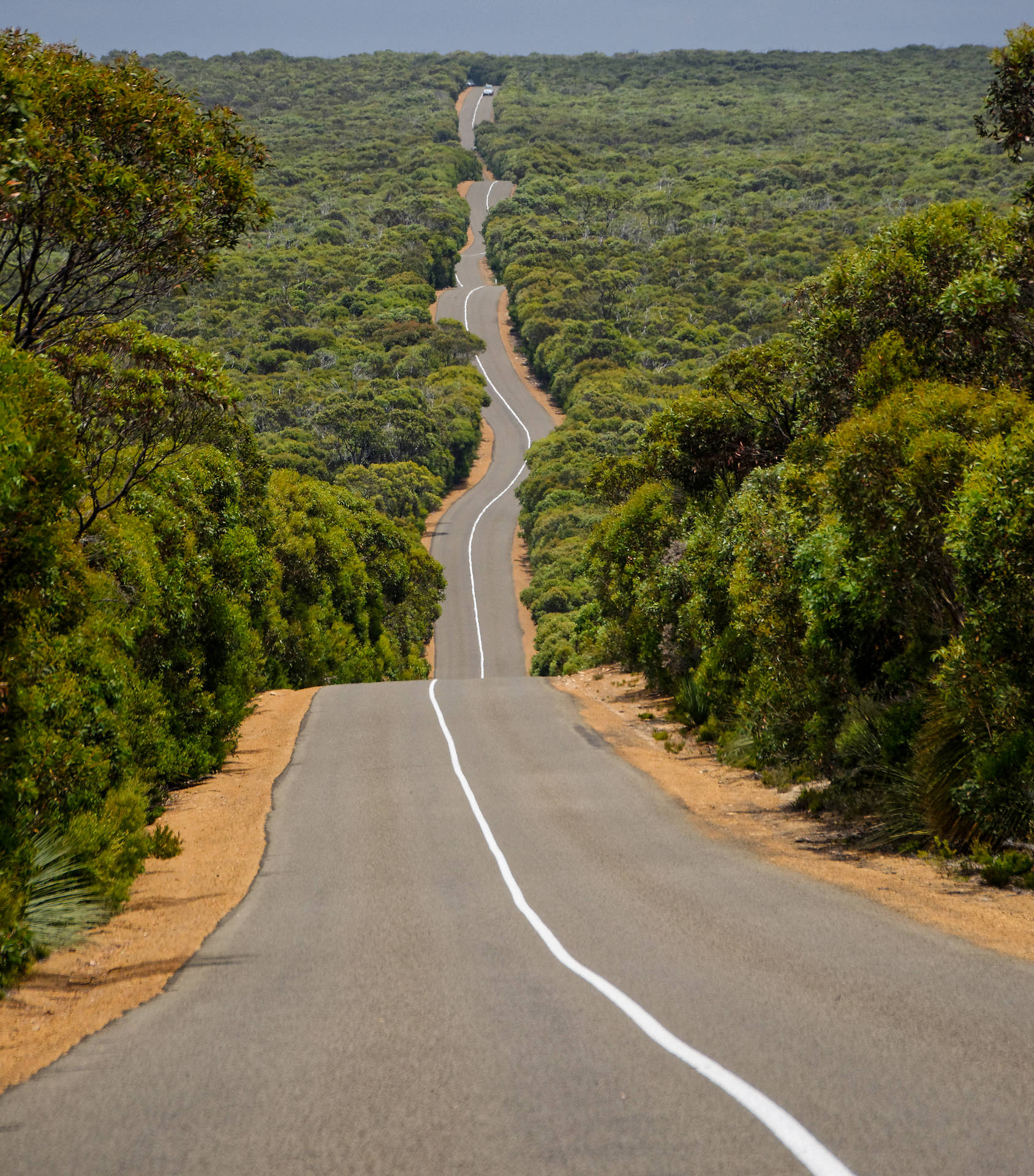 Highway 1 Of Australia