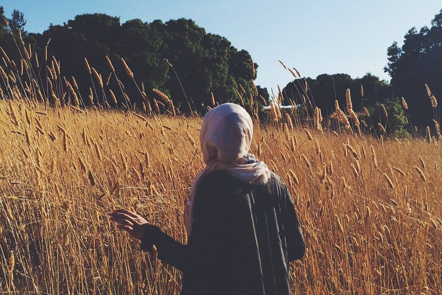 Hijab Girl In Fields Background