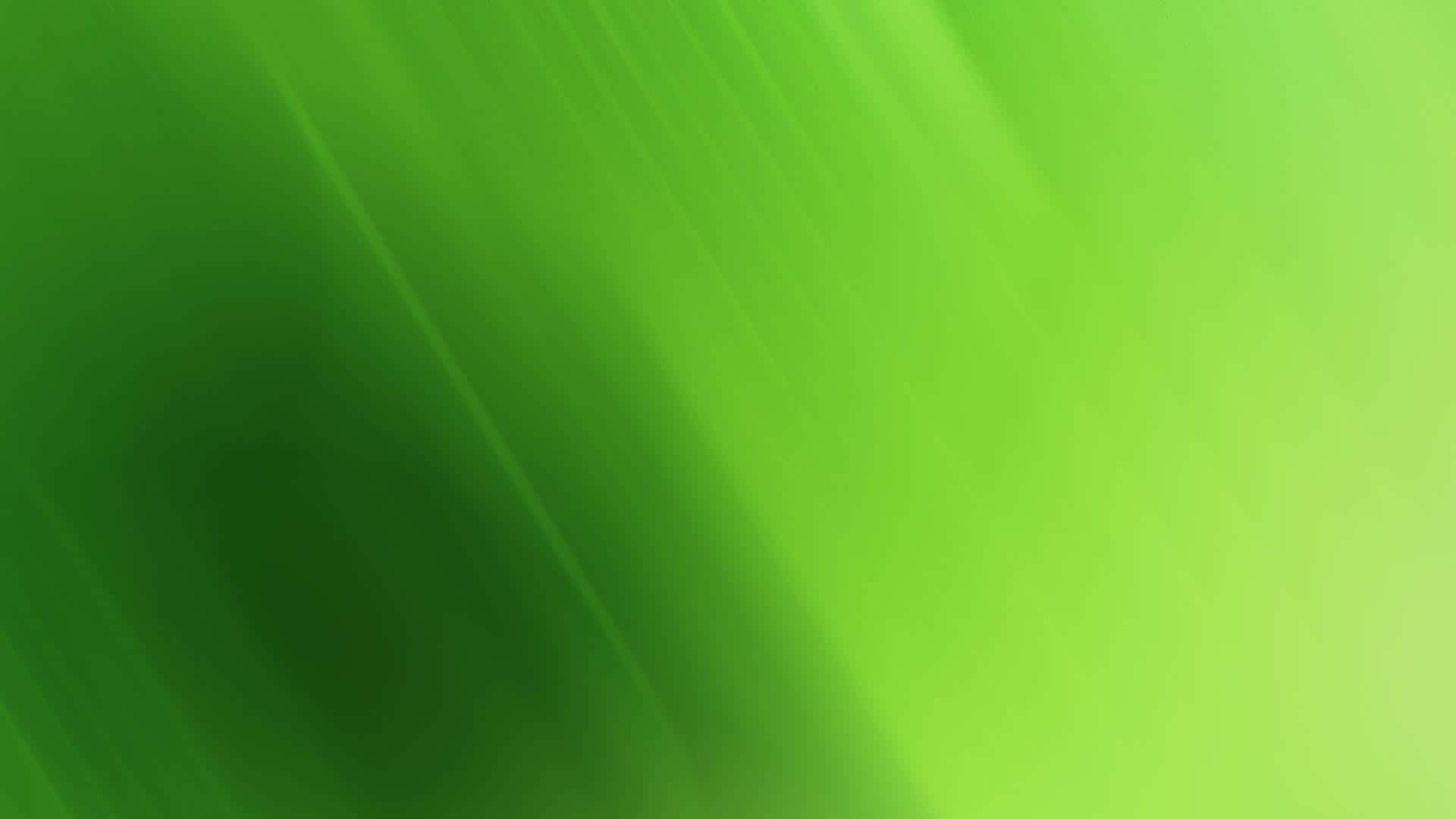 A vibrant hijau background illuminated by natural light
