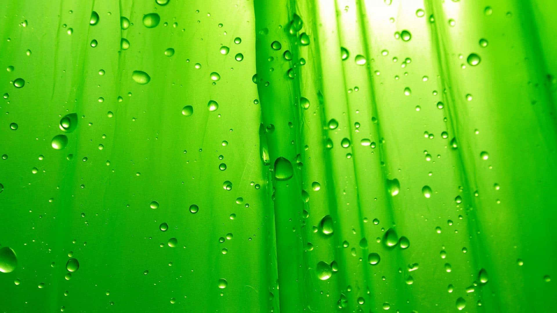Gocced'acqua Verdi Su Uno Sfondo Verde