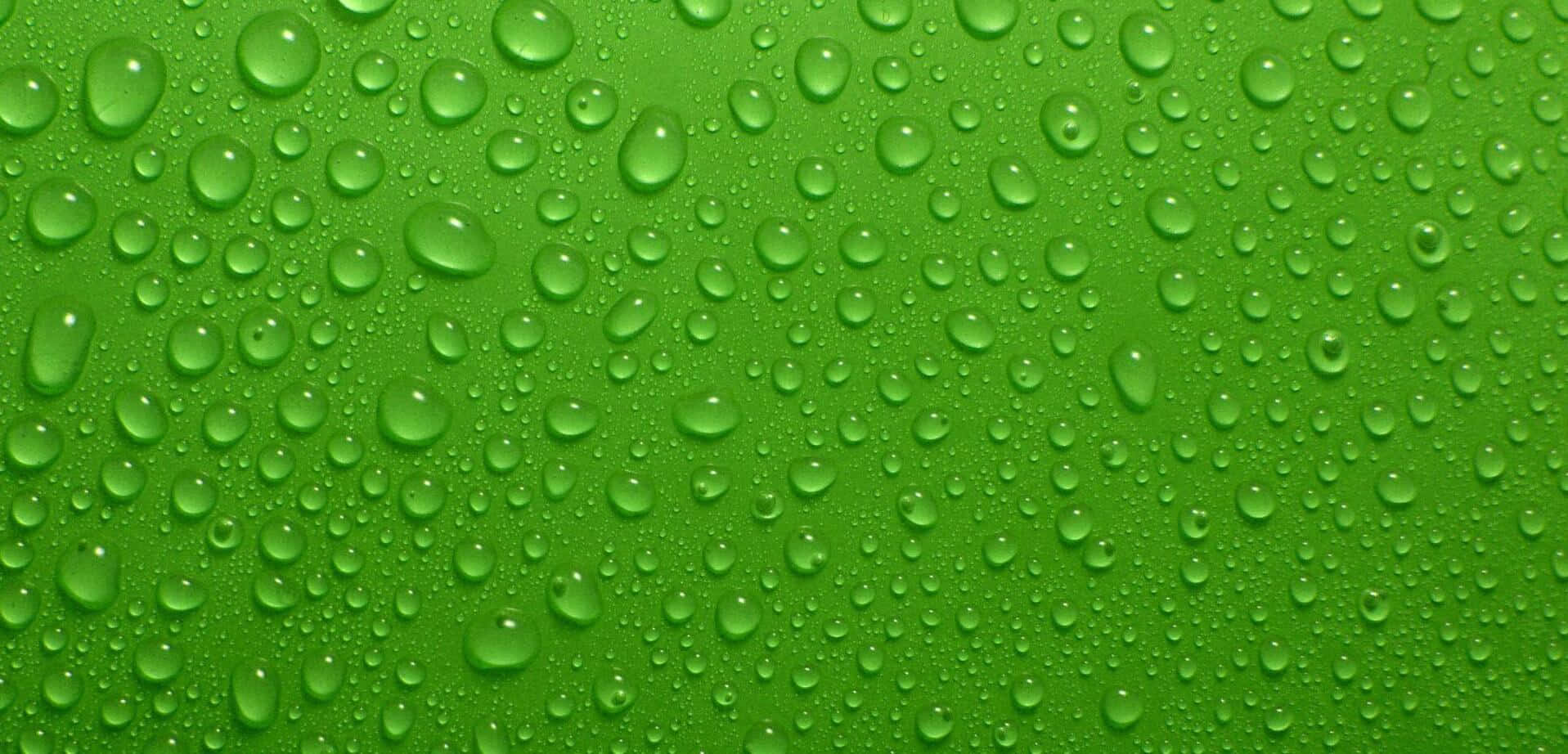 Bold Green Abstract Background